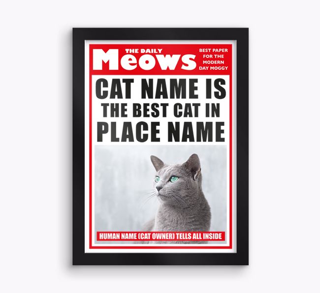 The Daily Meows, Best Cat in Town: Personalised {breedCommonName} Photo Upload Framed Print